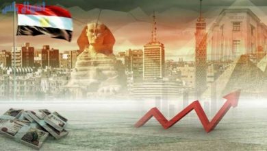 الشركات المصرية