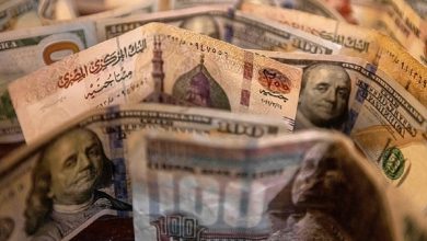 سعر الدولار في مصر