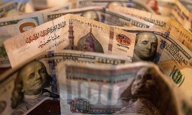 سعر الدولار في مصر