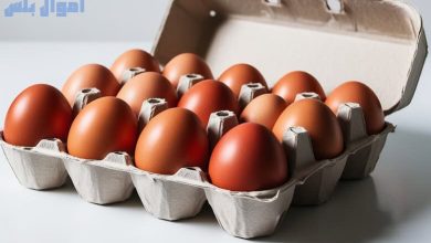 سعر كرتونة البيض