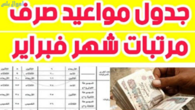 متى موعد صرف مرتبات شهر فبراير