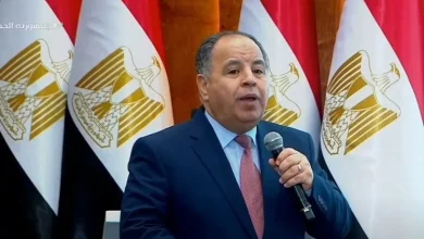 محمد معيط