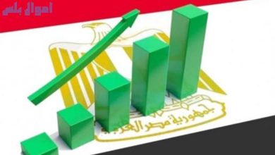 اقتصاد المصري