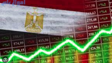 الاقتصاد المصري