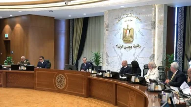 الحكومة المصرية