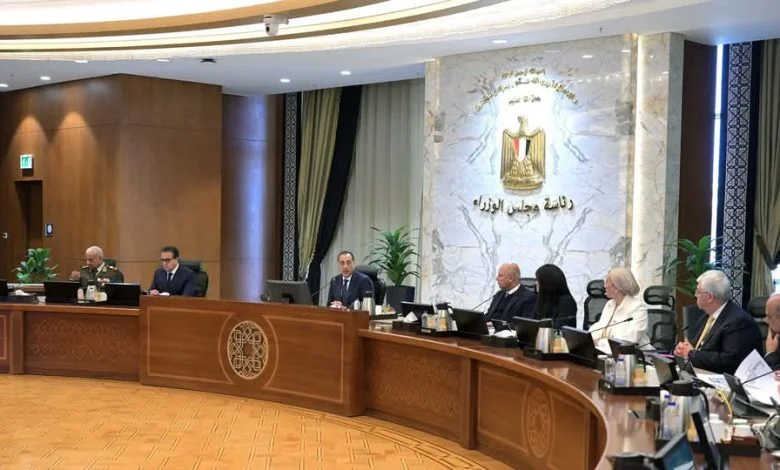 الحكومة المصرية