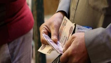 الحماية الاجتماعية
