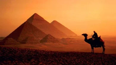 السياحة