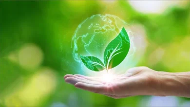 المشروعات الخضراء