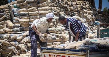 بكم الطن؟ سعر الأسمنت اليوم الأحد 11-5-2025 فى الاسواق