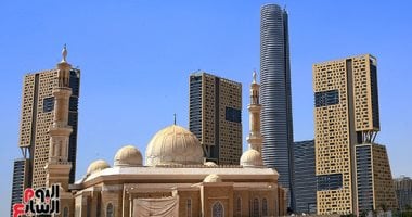 لمكافحة الفساد والاحتكار.. أبرز الأسئلة بمكتب شكاوى التعاقدات العمومية
