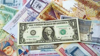 أسعار العملات اليوم: تحديثات الجنيه المصري مقابل العملات الأجنبية والعربية 25 مايو 2025