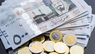 استقرار الريال السعودي أمام الجنيه المصري مع ضوابط موسم حج 2025