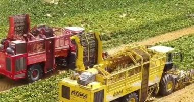 توقعات بوصول التأمين الزراعى العالمى لـ48.5 مليار دولار.. كيف تتوسع مصر فيه؟