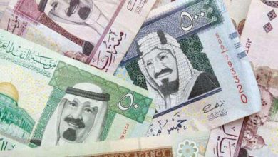 تحديثات سعر الريال السعودي أمام الجنيه المصري اليوم الأحد 25 مايو 2025