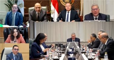 البترول: تأمين الاحتياجات المحلية من الغاز بأفضل الآليات لتقليل الاستيراد
