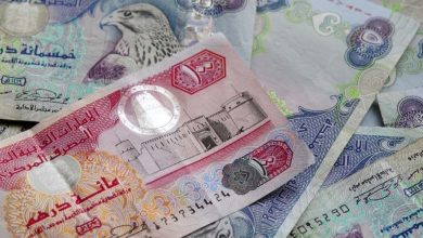 توقعات سعر الدرهم الإماراتي مقابل الجنيه المصري اليوم 25 مايو 2025