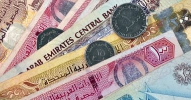 سعر الدرهم الإماراتى اليوم السبت 24-5-2025 بالبنك المركزى 13.56 جنيه