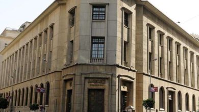 فوائد ارتفاع احتياطي النقد الأجنبي: خبيرة اقتصادية توضح تأثيره على الاقتصاد الوطني