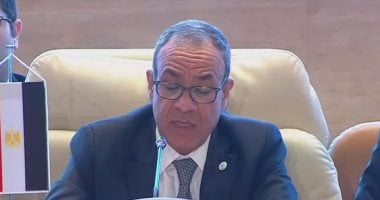 وزير الخارجية: مصر خسرت 8 مليارات دولار بسبب أزمة وقف الملاحة فى البحر الأحمر