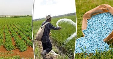 هبوط قطاع الموارد الأساسية بالبورصة بعد خفض إمدادات الغاز لمصانع الأسمدة