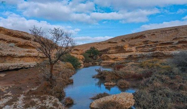 آلية الدخول والتنزه في منطقتي الصمان والدهناء دليل جديد للزوار