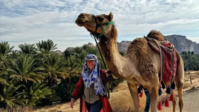 أليس موريسون تكتب التاريخ كأول امرأة تعبر السعودية سيرًا على الأقدام