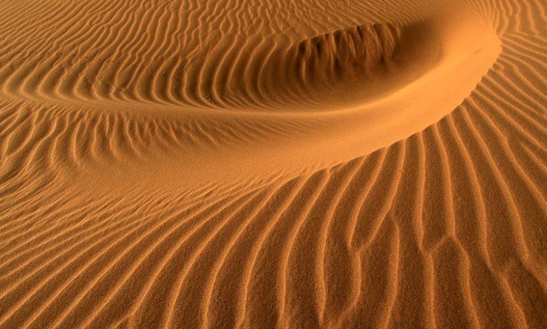 إزالة أكثر من خمسة ملايين متر مكعب من الرمال على طرق المنطقة الشرقية