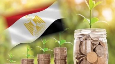 اتجاهات جديدة نحو الاستثمار البيئي في مصر تحفز المناخ وزيادة الفرص الاستثمارية