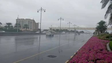 ارتفاع درجات الحرارة ورياح نشطة تثير الغبار بعدة مناطق