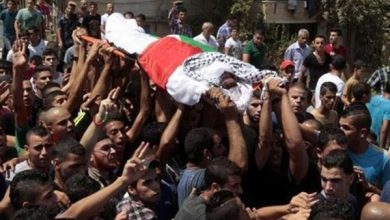استشهاد 144 فلسطينيا واصابة 560 خلال 24 ساعة ماضية في تصعيد دام.