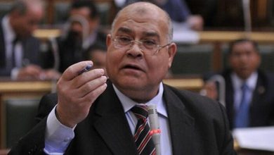 «الشعب يستعيد الوطن»: رئيس حزب الجيل يؤكد دور الجيش في إنقاذ الدولة