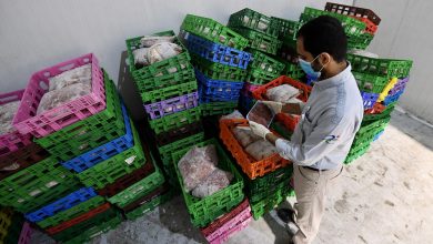 الغذاء والدواء تضبط طنين من الاغذية المجهولة المصدر في حملة جديدة