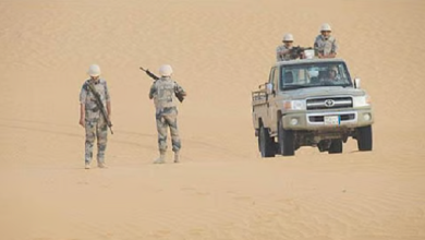 القبض على 8 مخالفين لتهريب 144 كجم قات في منطقة عسير