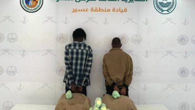 القبض على مخالفين لتهريب 40 كيلو من القات في عسير