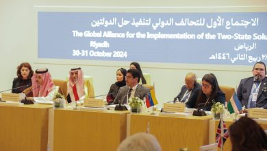 تحقيق التعاون العالمي لدعم قضايا حقوق الانسان والتنمية المستدامة