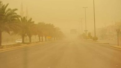 توقعات جوية: رياح نشطة وتدني الرؤية في تبوك اليوم