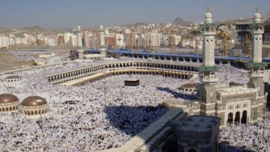 حجاج البيت الحرام يحققون نجاحا كبيرا في حج 1446 هـ بزيادة عدد المستفيدين