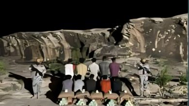حرس الحدود بعسير ينجح في احباط تهريب مئتي كيلو من القات المخدر