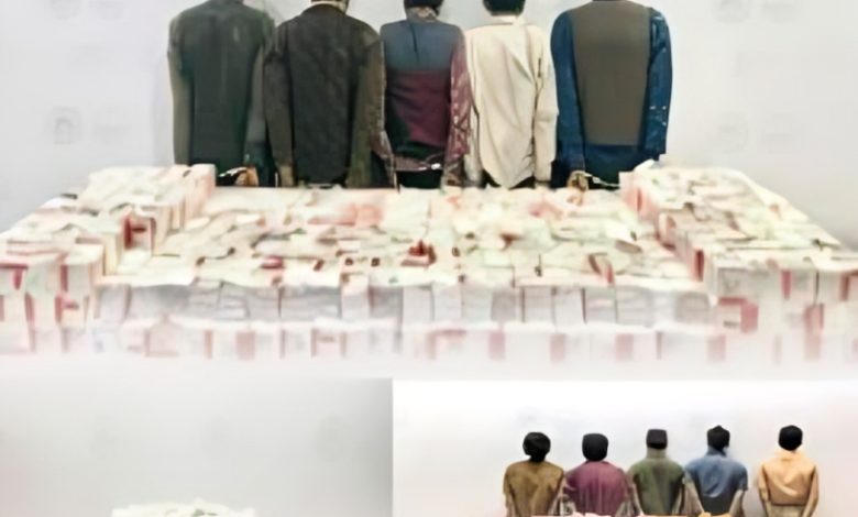 حرس الحدود يضبط تهريب كميات ضخمة من المخدرات ويفشل مخطط التهريب
