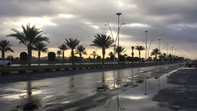 رياح نشطة تؤثر على تبوك وتوقعات بتقلبات جوية قادمة
