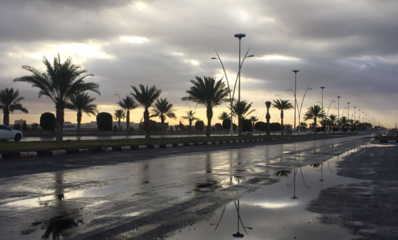 رياح نشطة تؤثر على تبوك وتوقعات بتقلبات جوية قادمة