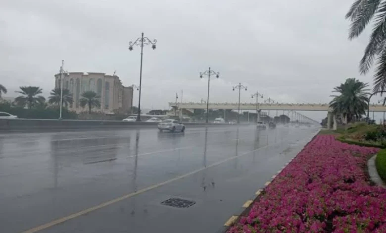 رياح نشطة تثير الغبار والأتربة على عدة مناطق في البلاد