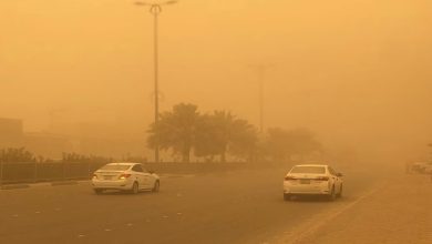 رياح نشطة ولاتربة مثارة في نجران حتى المساء