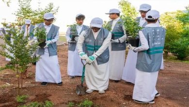 زراعة 273 ألف شجرة في المدينة المنورة لمكافحة التصحر وتجميل البيئة