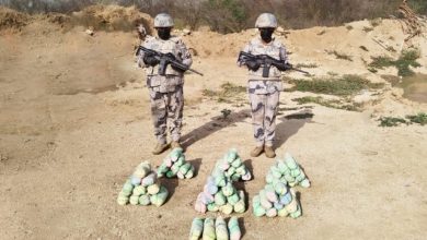 ضبط شحنة كبيرة من القات في جازان بحوزة المهربين