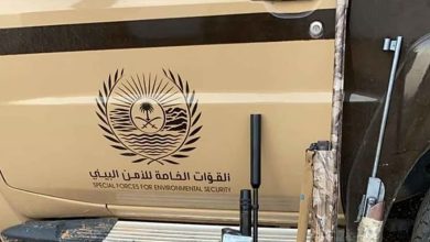ضبط مخالفات لصيد الوعل البري بمحمية الامير محمد بن سلمان الملكية
