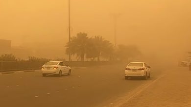 عوالق ترابية تؤثر على الرؤية في الباحة حتى الثامنة مساءً