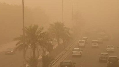 عوالق ترابية تؤثر على القطاع التهامي بالباحة حتى التاسعة مساء