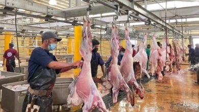 مشروع اضاحي يؤكد جاهزية 7 مجمعات و25000 كادر لخدمة الحجاج